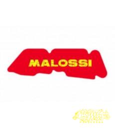 Luchtfilter merk-Merk-Malossi Langwerpig